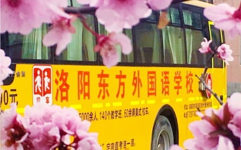 花兒與校車(chē)