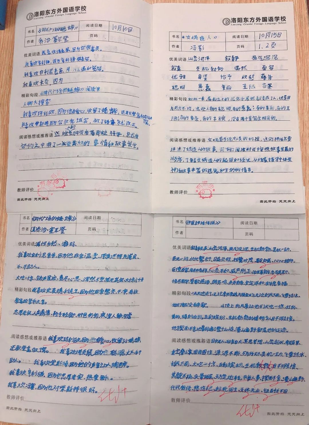 師生共讀一本書——洛陽東外小學部“滿天星”閱讀計劃