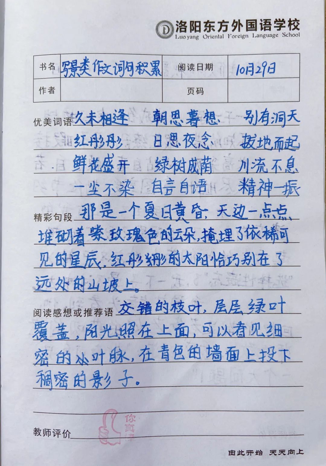 師生共讀一本書——洛陽東外小學部“滿天星”閱讀計劃