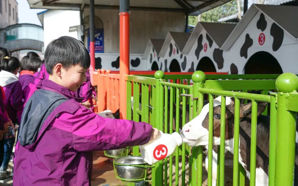 不負春光，快樂成長——洛陽東外小學(xué)部三年級研學(xué)旅行