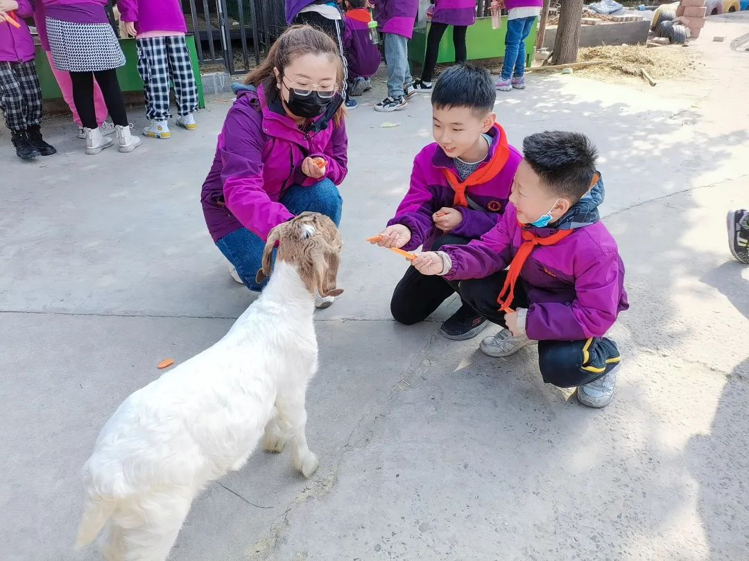 不負春光，快樂成長——洛陽東外小學(xué)部三年級研學(xué)旅行