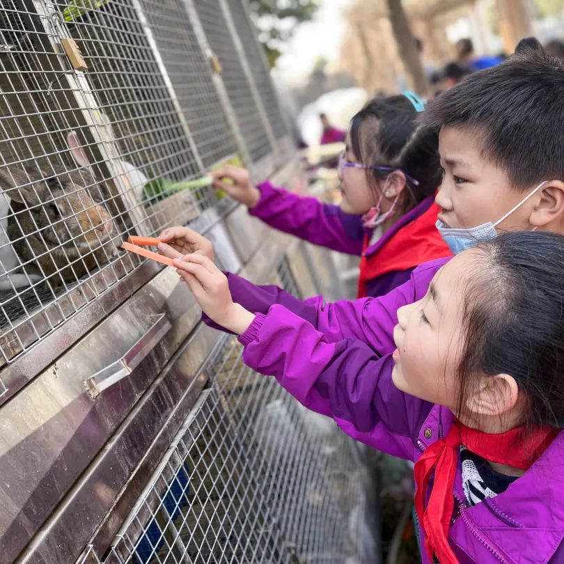 不負春光，快樂成長——洛陽東外小學(xué)部三年級研學(xué)旅行