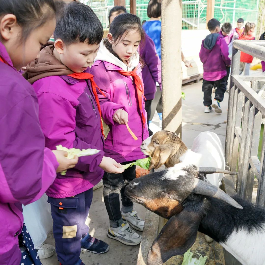 不負春光，快樂成長——洛陽東外小學(xué)部三年級研學(xué)旅行