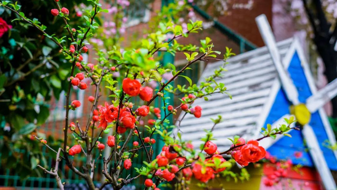 繁花似錦綻校園，核檢護(hù)航保平安